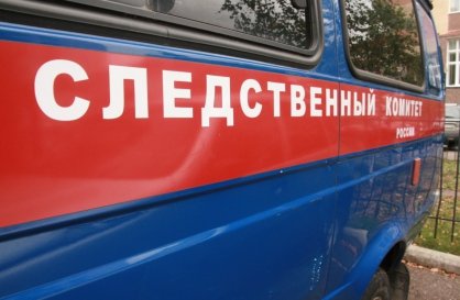 В Бакалинском районе возбуждено уголовное дело по факту причинения смерти ребенку в результате нападения собаки